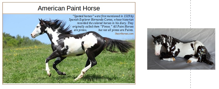 special paint mare