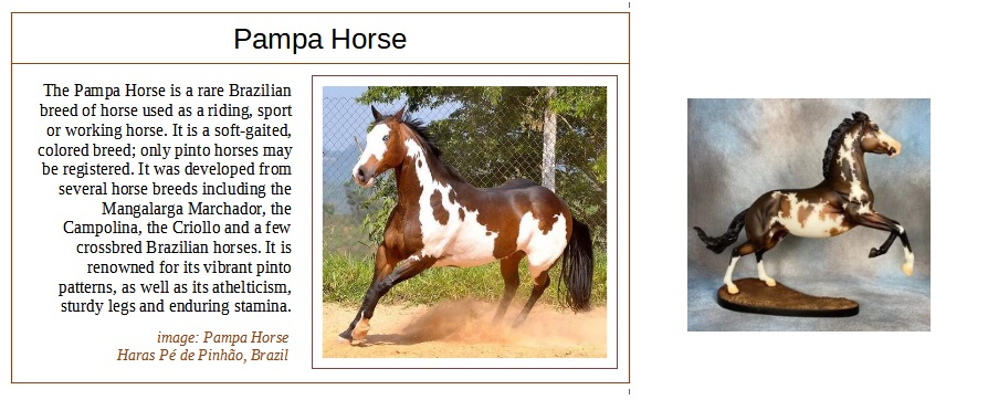 pampa horse