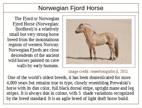 Fjord